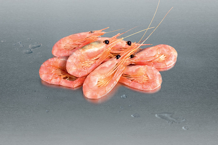 Crevettes entières cuites nordiques