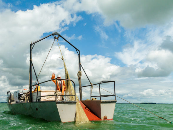 Bateau de pèche